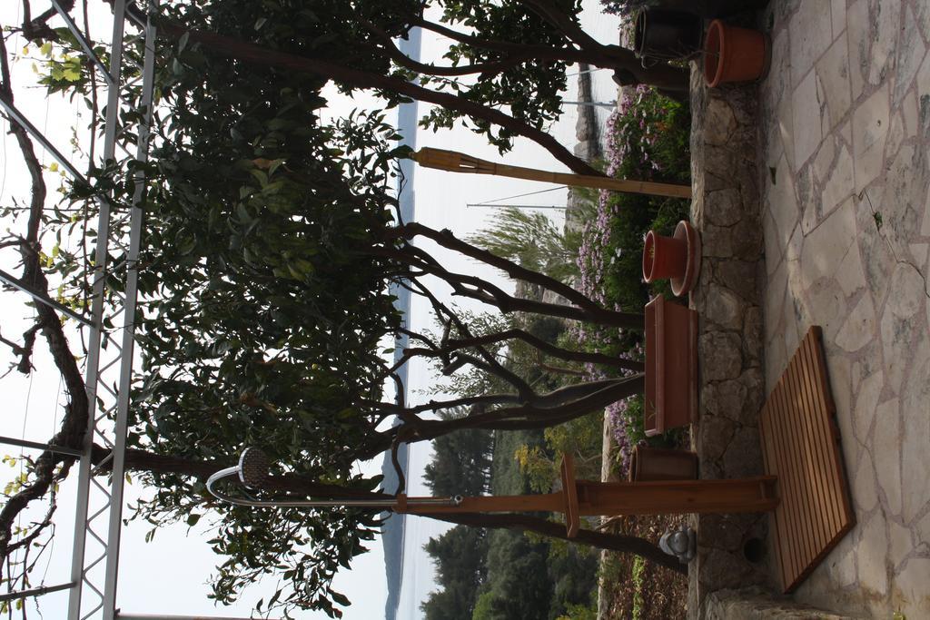 Villa Marijam Hvar Town Exterior photo